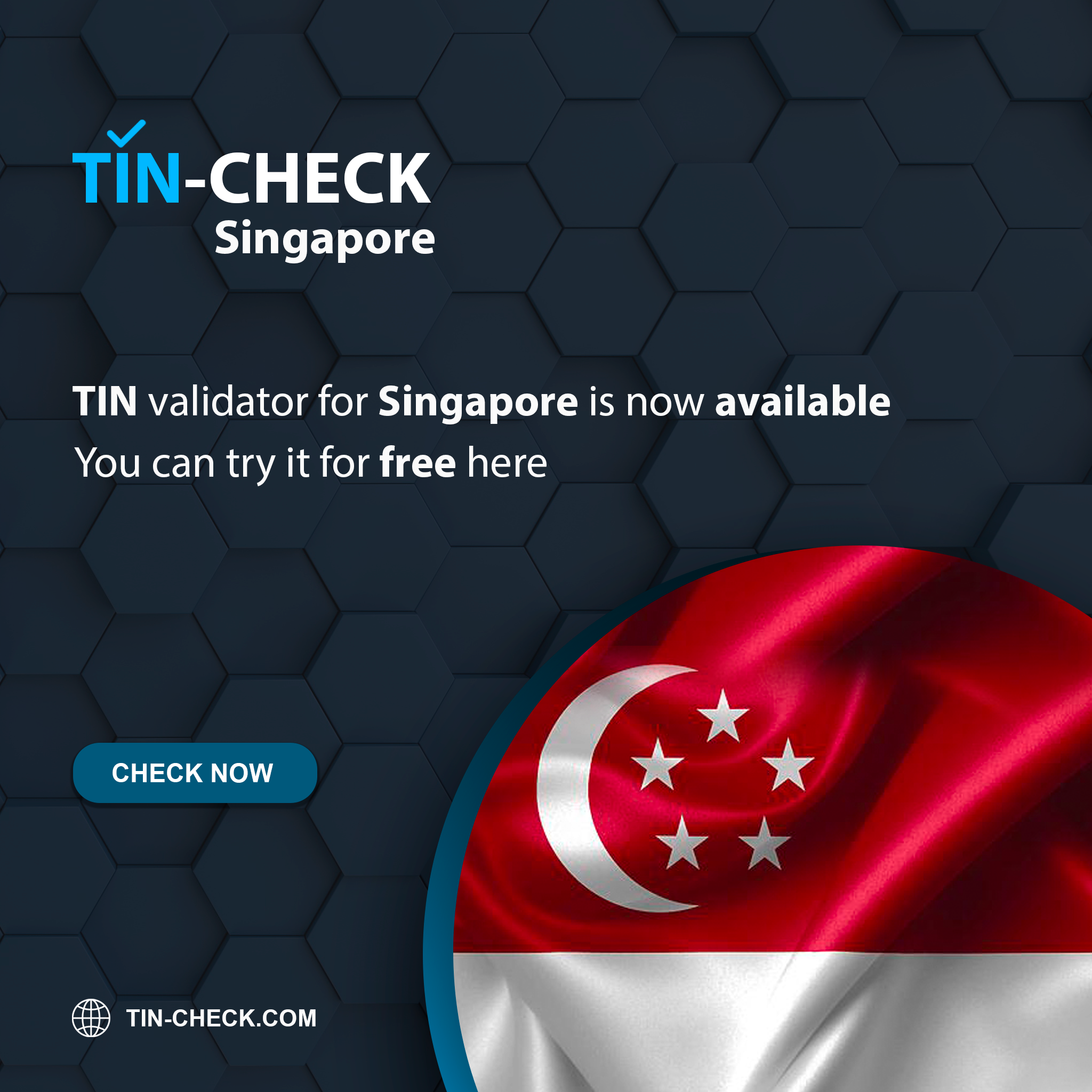 What Is Tax Identification Number TIN In Singapore 58 OFF